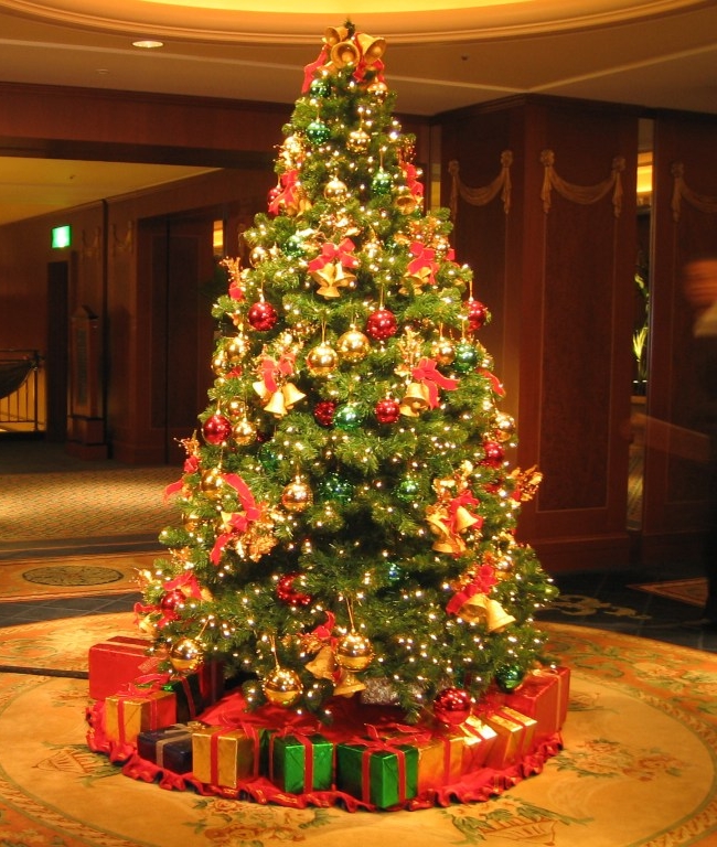 Já montou a sua Árvore de Natal? Conheça mais sobre essa tradição natalina